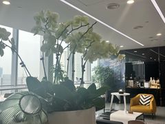 -马泷齿科·成都锦江置略马泷口腔门诊部(IFS国金中心店)