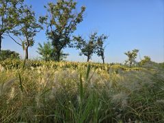 -汉长安城未央宫国家考古遗址公园