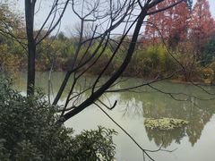 -杭州西溪宾馆-松露西餐厅