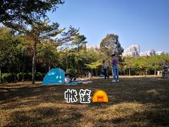 -聚龙山公园