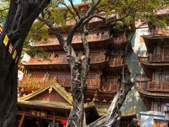 -大佛寺高级素食自助餐厅