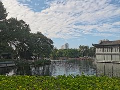 -荔湾湖公园