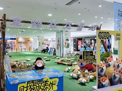 -开元商城(西旺店)