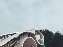 -都江堰中华大熊猫苑