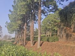 -南北湖风景区
