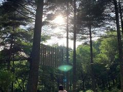 -洛阳白云山景区