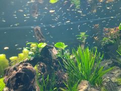 -乌鲁木齐海洋馆