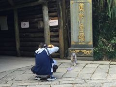-遂昌金矿国家矿山公园