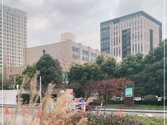 -复旦软件园