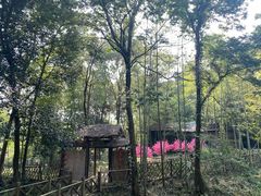-玉女潭景区