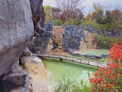 -吴淞炮台湾湿地森林公园烧烤区