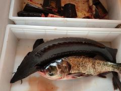 -江湖水乡铁锅炖魚(周庄嘉园店)