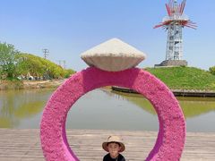 -海上花岛玫瑰园采摘