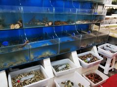 水产区-宾朋海鲜特色美食餐厅·纯手工鲅鱼水饺(兴海路店)