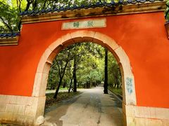-灵谷景区