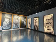 -中国湿地博物馆