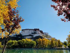 -宗角禄康公园