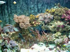 -北戴河圣蓝海洋公园