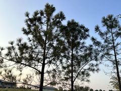 -艾溪湖湿地公园