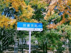 -八大关景区