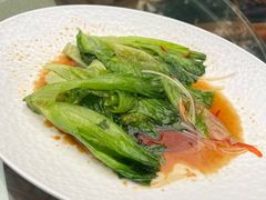 罗马生菜-春满园生态餐厅(南宫路店)