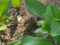 -长春市南湖公园