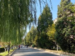 -东华门大街小区