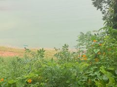 -孔雀湖生态旅游区