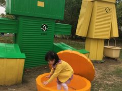 -上海都市菜园