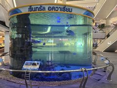 -尚泰清迈机场购物中心