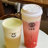 椰椰回归🥥一天两杯的秘密㊙️藏不住了‼️