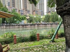 -成都市活水公园