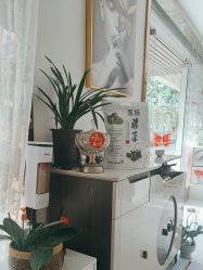 -奥丽维娅美容养生会所