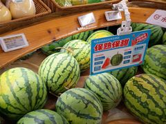 -百果园(山水天域店)