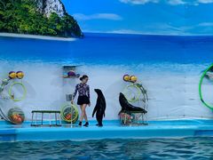-尼莫海豚馆