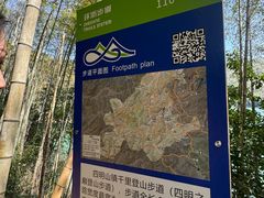 -四明山国家森林公园