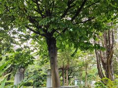 -广州神农草堂中医药博物馆