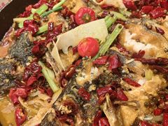 -老板恋上鱼(高新万达店)