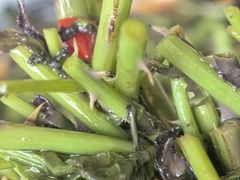 -绿草墩