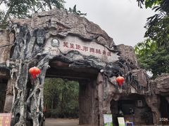 -莫里热带雨林景区