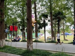 -黄海国家森林公园