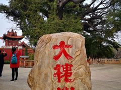 -大槐树寻根祭祖园