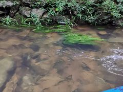 -大观园昆山峡漂流