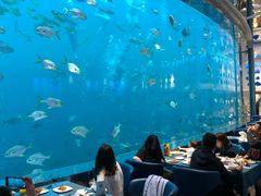 -瑞德姆美人鱼海底演艺主题餐厅(亚龙湾店)