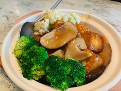 日式花菇豆腐煲-T館·花园艺术餐厅