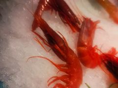 -一本料理(西溪天街店)