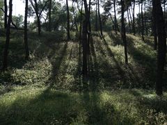 -承德避暑山庄景区