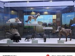 -国家自然博物馆