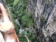 -鹿院坪生态旅游景区