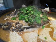 -探鱼·鲜青椒爽麻烤鱼(西南商都店)